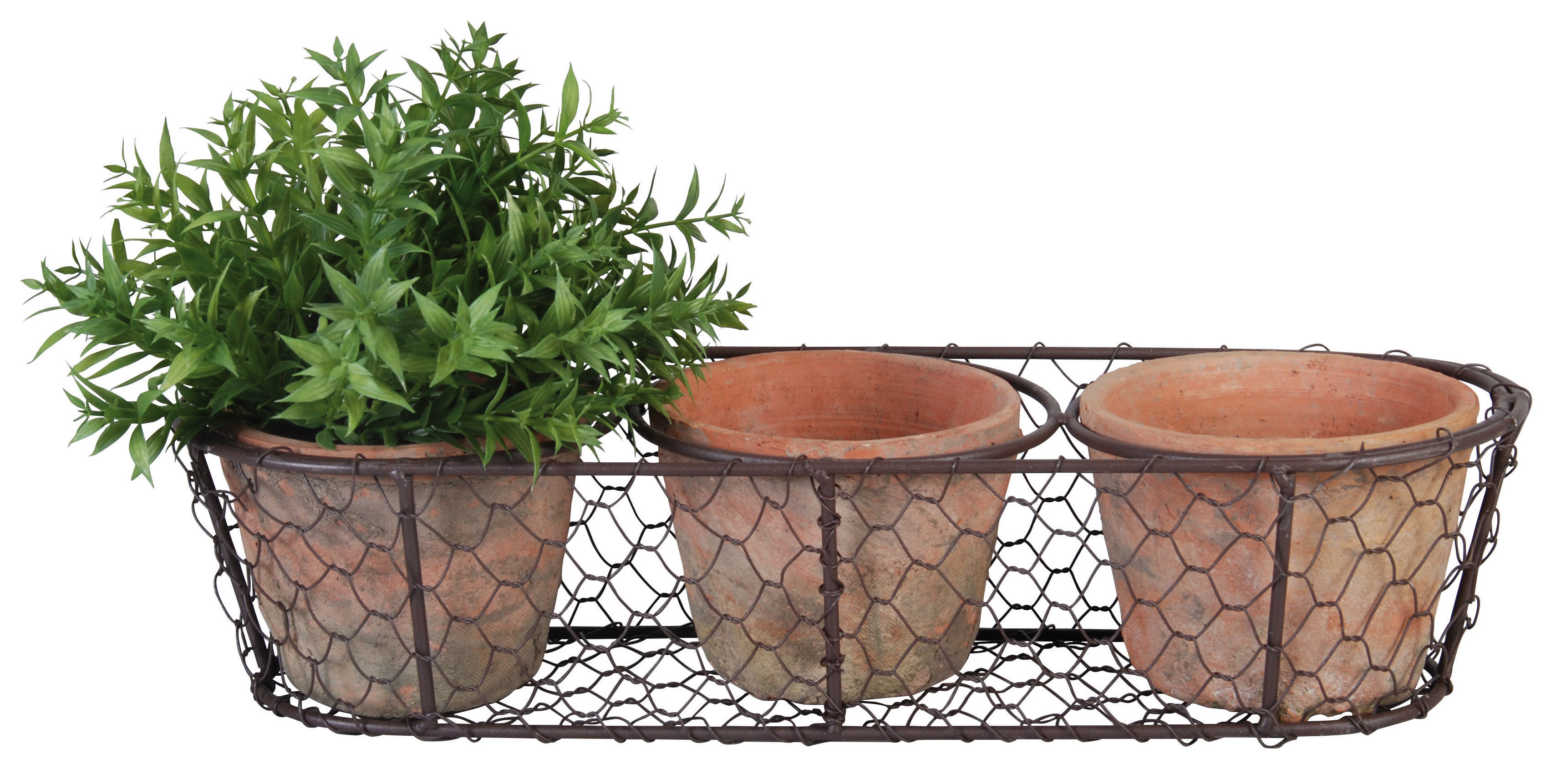 August Grove® Elisaveta 2 - Piece Terracotta Pot Planter Set | Wayfair